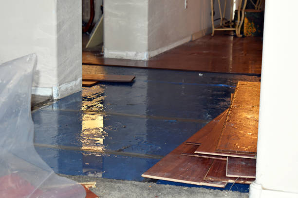 Professional Water Damage Restoration technician working in Albion, IN